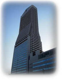 研修会場:ホテル大阪ベイタワー 研修会場:ホテル大阪ベイタワー
